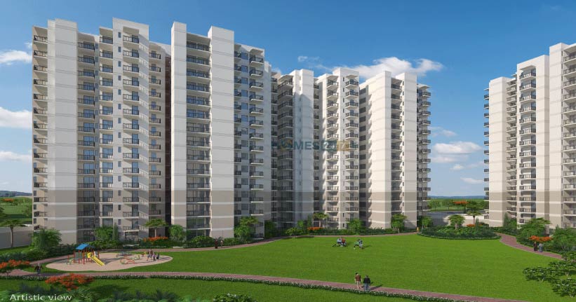 Suncity Avenue 76-cover-06